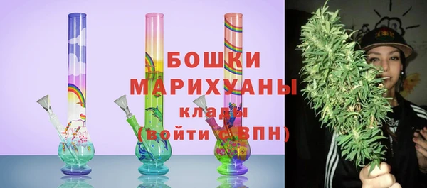 ECSTASY Богородск