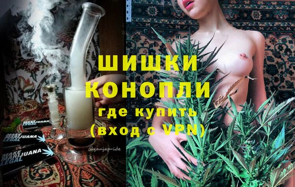 ECSTASY Богородск