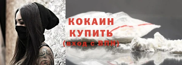 ECSTASY Богородск
