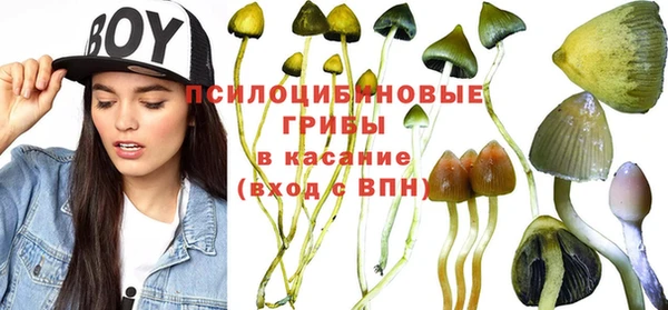 ECSTASY Богородск