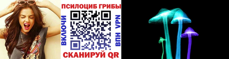 Псилоцибиновые грибы прущие грибы  Краснозаводск 